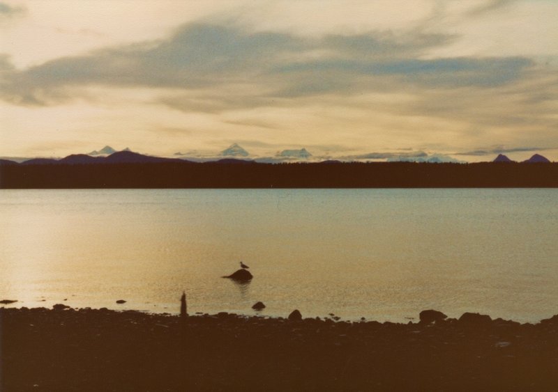 Late evening is the perfect time to comb the beach in Bartlett Cove.