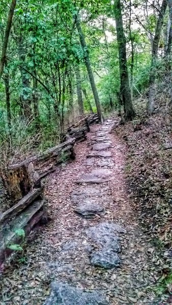 A stone-step path heads to higher ground on the Nature Center Trail.