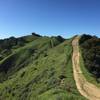 The ups and downs of Lafayette Ridge Trail make for an exciting hike.