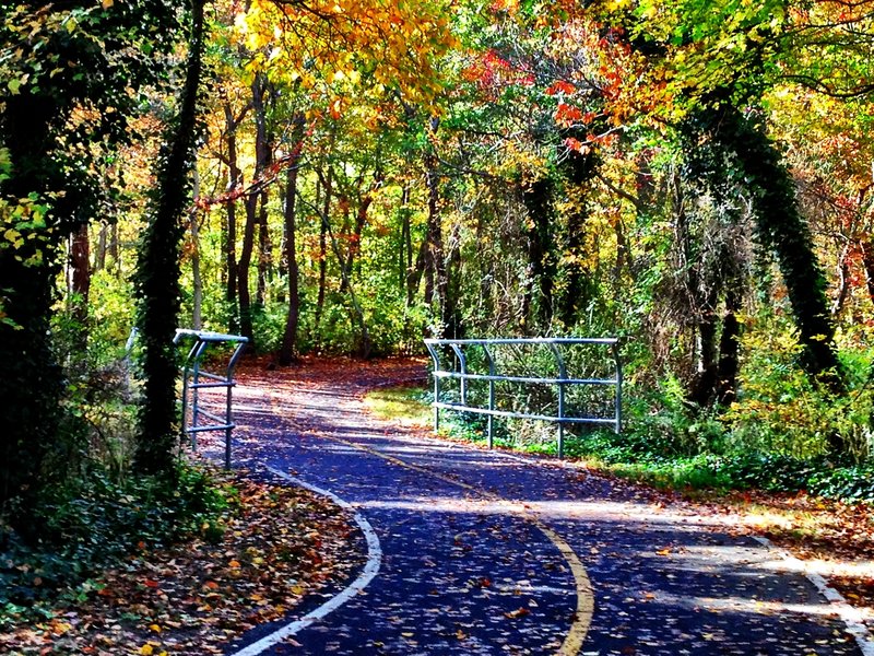 Bethpage Bikepath, Farmingdale, Long Island, NY