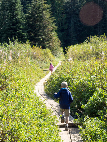 A boardwalk around the back side of the lake goes through colorful hot pink spirea bushes. Photo by Dolan Halbrook.