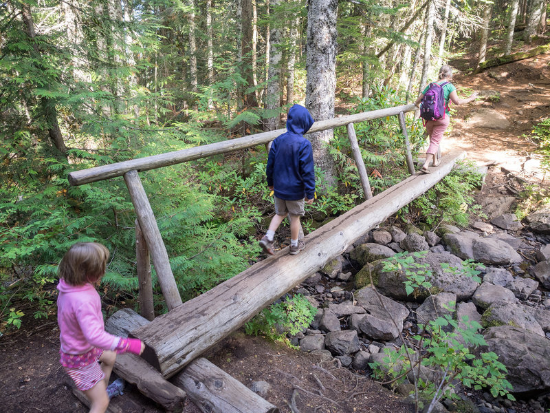 This bridge is just before the lake. Photo by Dolan Halbrook.