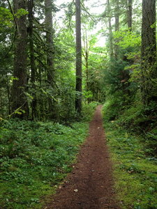 The lower part of Pioneer Bridle Trail is very flat.