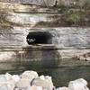 The Montgomery Bell Tunnel was originally built as a water-diversion tunnel.