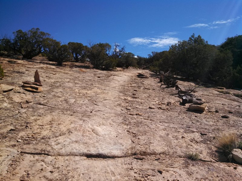 There is plenty of slickrock to enjoy on the Sidewinder Trail!