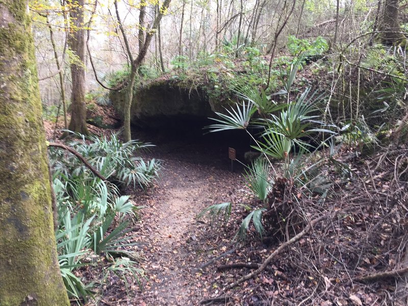 Tunnel Cave is one of many exciting features along the Bluff Trail.