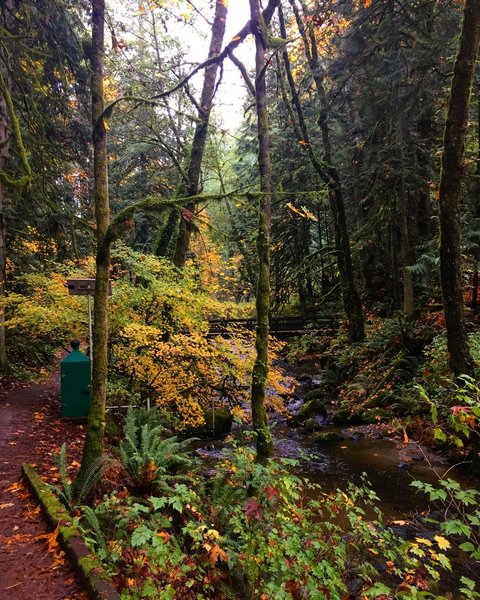 Arroyo Park comes alive in the fall.