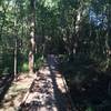 One of the boardwalk sections has a peaceful river to the left.