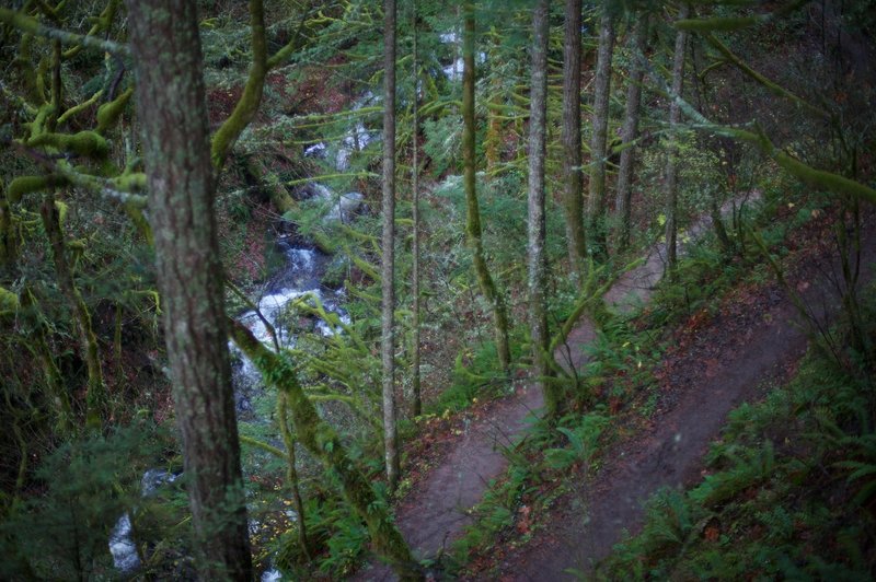 The trail switches back as it approaches the falls. The creek flows close to the trail.