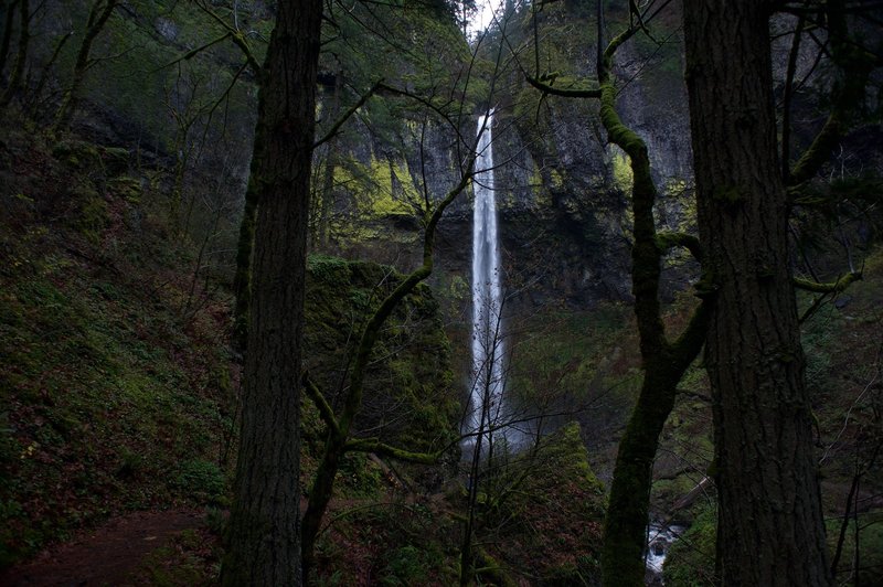 This is a view of the falls from past the bridge. While partly obscured, it's still a great view.