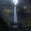 A picturesque footbridge crosses McCord Creek Falls below Elowah Falls.