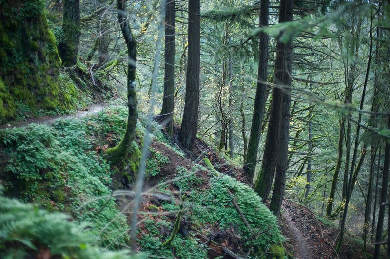 The trail switches back on itself as it makes its way up the hillside before getting to the cliff face.