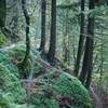 The trail switches back on itself as it makes its way up the hillside before getting to the cliff face.