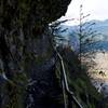 Looking back at the Columbia River and surrounding area, you truly get a sense of the grandeur of this area. The trail is hewn into the cliffside, so it's not ideal for those afraid of heights.