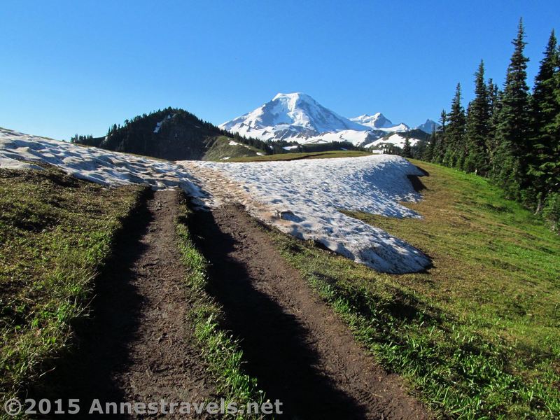 The crest of Skyline Divide offers spectacular views of Mt. Baker.