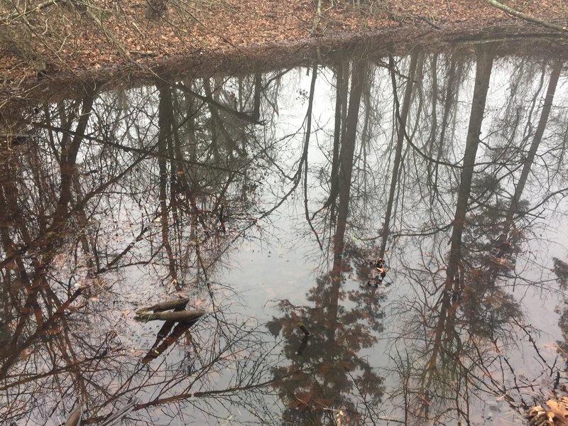 This mountain spring is non-potable, has water moccasins in the summertime, and bullfrogs in the early fall.