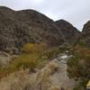 The trail to Darwin Falls follows a steep-walled canyon rife with rocks and scrubby desert flora.