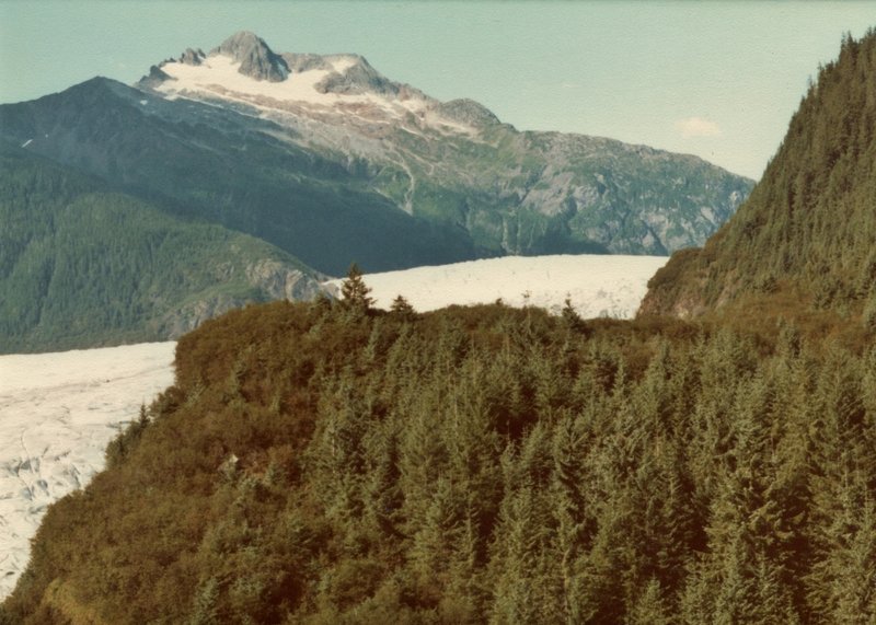 This is looking up Mendenhall Glacier from the East Glacier Trail in 1980. Mendenhall Glacier has receded about a mile since then.