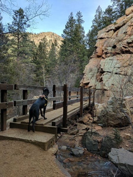 Ready to cross one of the bridges along the aptly named Seven Bridges trail.