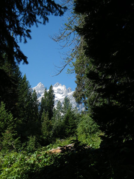 Views of the Cathedral Group from the "Horse Trail" (Jenny Lake - Cascade Canyon Connector Trail).