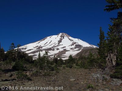 Mt. Shasta towers above from the Brewer Creek Trail.