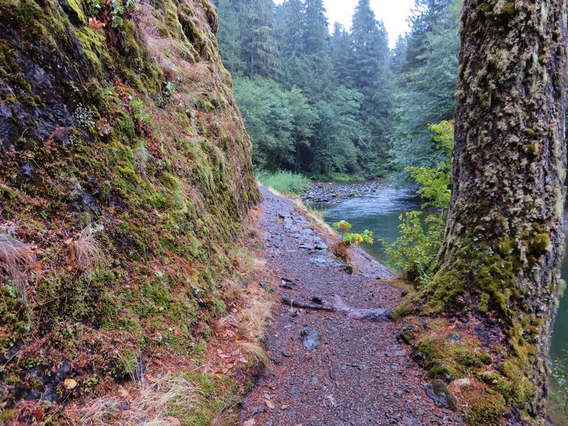 There are a couple sections of the Salmon River Trail #742 that are narrow and have a drop off to the river. Photo by Yunkette.