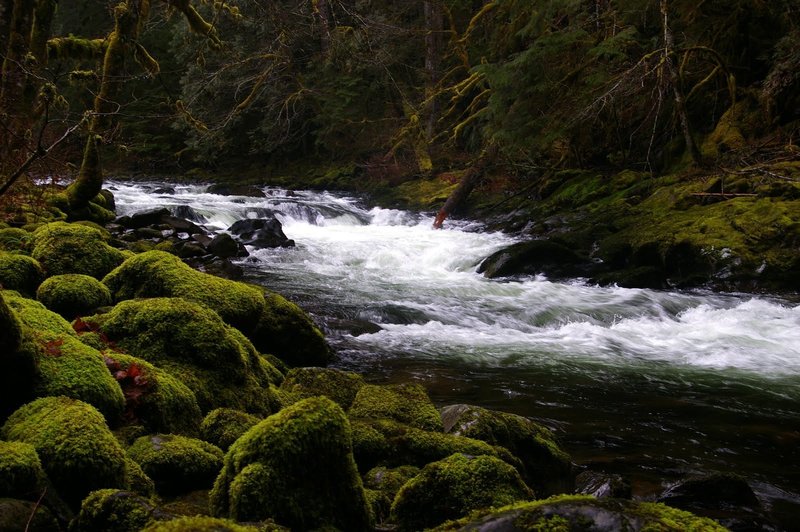 The Salmon River is hikeable even in winter, provided the road to the trailhead is accessible. Photo by Gene Blick.