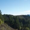 Views of the surrounding hills and mountains can be seen off to the left side of the trail.