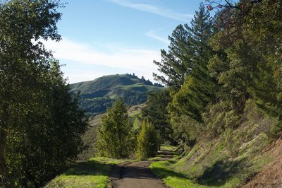 Mindego Hill can be seen throughout the hike off in the distance. The summit of the hill is your destination, despite the fact the trail descends at this point.