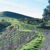 The gate system indicates the end of the preserve and allows you to enter the Mindego Hill area. There are 3 gates you have to go through. You can see the trail breaking around the hill in the distance.