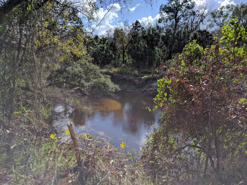 The Little Manatee River makes a gorgeous trailside companion.