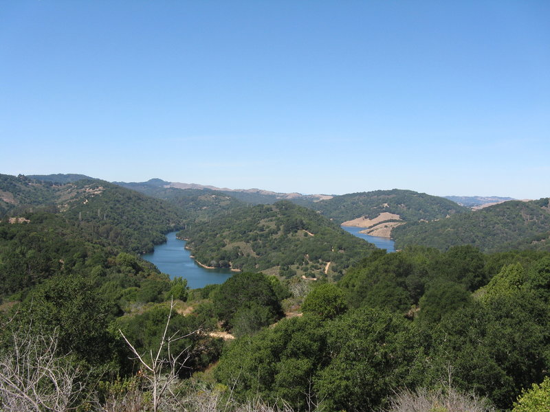 Upper San Leandro Reservoir (center) and northern Anthony Chabot Regional Park (far left) glimmer in the distance from the Soaring Hawk Trail.