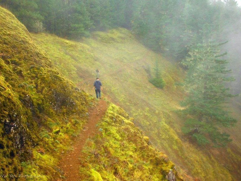 The Salmon River Trail has a side loop trail that drops down into these rocky openings offering expansive views of the Salmon-Huckleberry Wilderness and limited views of the waterfalls. Photo by Will Butler©2017.