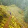 The Salmon River Trail has a side loop trail that drops down into these rocky openings offering expansive views of the Salmon-Huckleberry Wilderness and limited views of the waterfalls. Photo by Will Butler©2017.