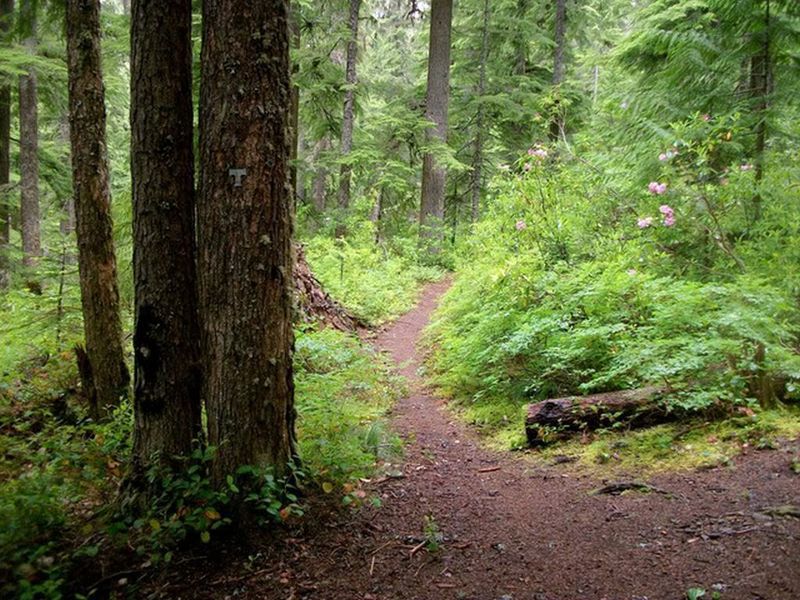 Views like this are a common sight on the south end of the Linney Creek Trail. Photo by Sean Thomas.