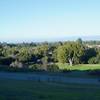 This is a view looking back toward the South Bay with the trails and the California Tree sitting inside the preserve.