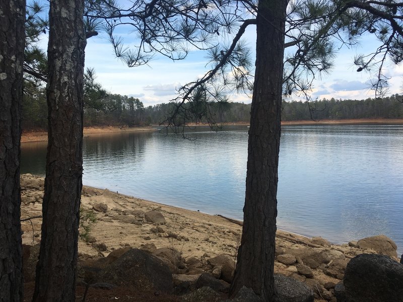 A lake view awaits to the left of the trail's end.