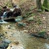 A seasonal stream flows nicely in January after some heavy winter rains.