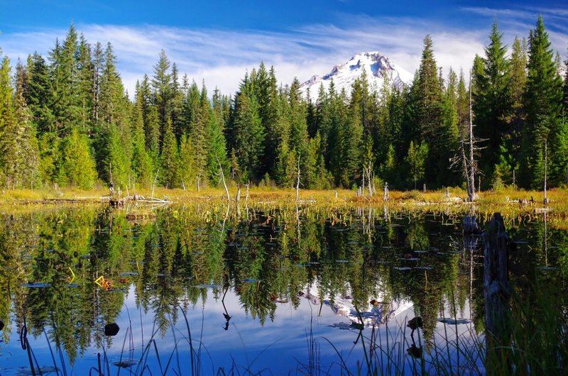 The north end of Trillium Lake is a great spot for bird watching. Photo by Gene Blick.