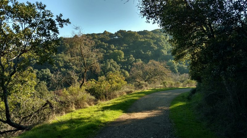 January makes for a lovely time to enjoy the Randol Trail.