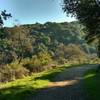 January makes for a lovely time to enjoy the Randol Trail.