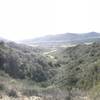 The Sunflower Trail offers views of Laguna Canyon and toll roads.