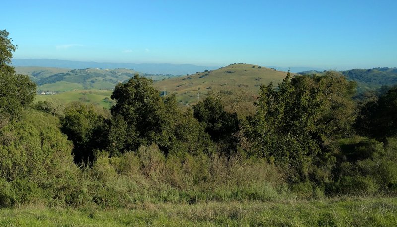 The countryside south of San Jose looks absolutely gorgeous from the Virl O. Norton Trail.