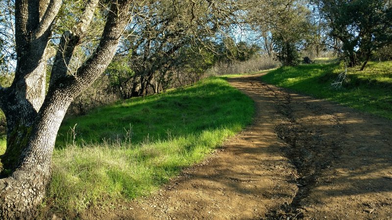 January is a great time to experience the Virl O. Norton Trail.