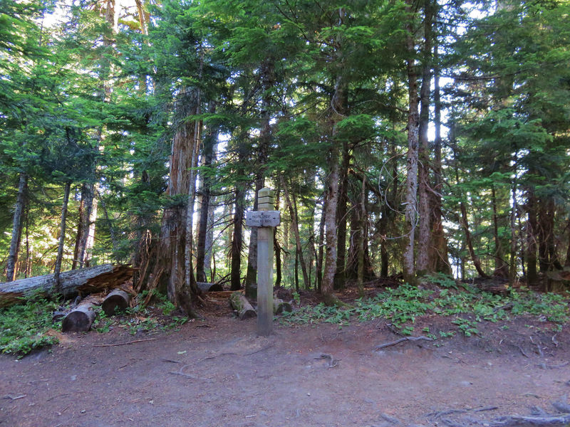 This is the Top Spur Trail #785 junction with the PCT. The Timberline Trail #600 junction is 100 feet to the right. Photo by Yunkette.