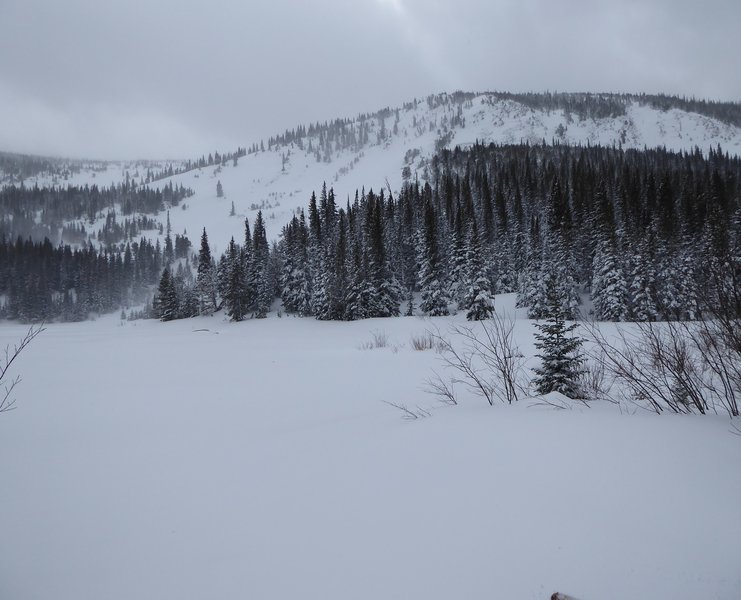 Lost Lake is starkly beautiful when covered in snow. This photo was taken on January 10, 2017.