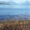 Lake McDonald glimmers in the afternoon sun near Apgar Campground.