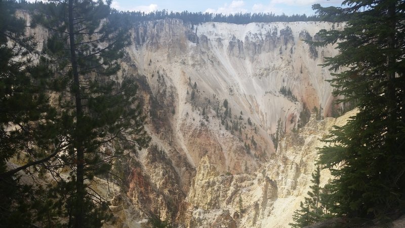 The Artist Point Trail offers gorgeous views into the canyon.