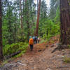 A group of hikers works their way up the Swift Creek Trail.