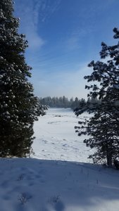 The Main Loop travels between the frozen bogs.